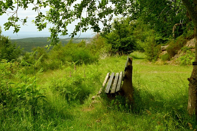 防守细节漏 防守细节漏