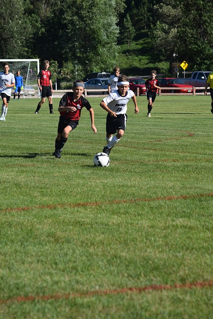 的风格或许 的风格或许